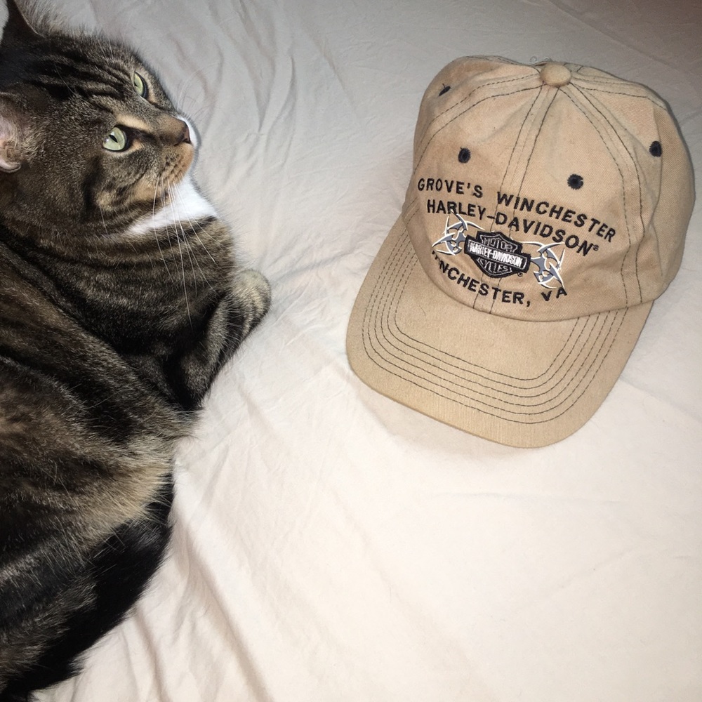 Vintage Harley-Davidson Dad Hat